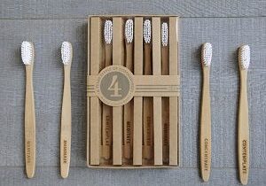Bamboo-Toothbrushes-Pakistan-Business-Opportunity-300x219-1